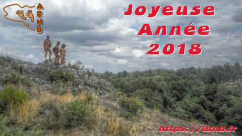 Bonne année 2018